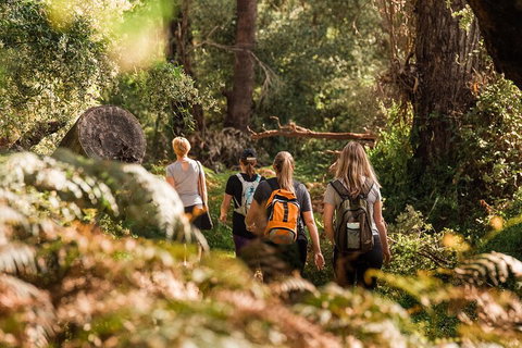 Half-Day Yanchep Ghost House Wilderness Guided Hike Tour - Melbourne Tourism 5