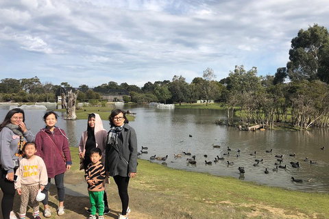 Phillip Island Penguins Private Tour - Melbourne Tourism 1