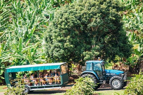 Tropical Fruit World With Wildlife Boat Cruise From Gold Coast - Melbourne Tourism 1