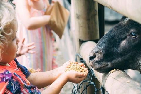 Tropical Fruit World With Wildlife Boat Cruise From Gold Coast - Melbourne Tourism 5