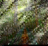 O'Reilly's  Lamington National Park from Gold Coast - Melbourne Tourism