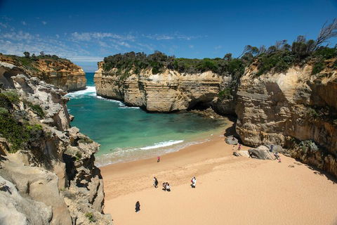 LGBT+ Friendly 12-Hour Great Ocean Road Private Tour - Melbourne Tourism 5