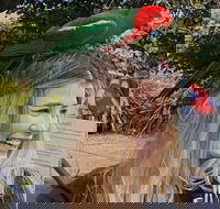 Lamington National Park O'Reilly's  Vineyard Tour - Melbourne Tourism