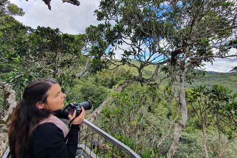 Lamington National Park, O'Reilly's & Vineyard Tour - Melbourne Tourism 1
