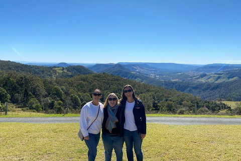 Lamington National Park, O'Reilly's & Vineyard Tour - Melbourne Tourism 3