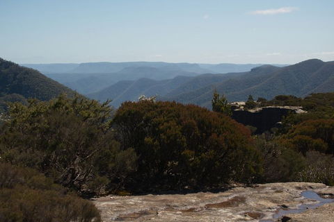 The Explorers' Discovery Tour - Gold, Wine & Wildlife - Melbourne Tourism 3