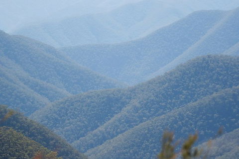 From The Mountains To The Bay - 4 Day Rediscovery Private Tour - Melbourne Tourism 1