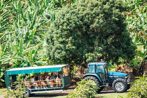 Northern Rivers Full Day Wine Tour - Melbourne Tourism 1