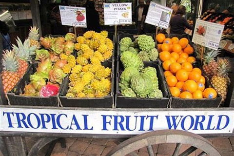 Northern Rivers Full Day Wine Tour - Melbourne Tourism 3