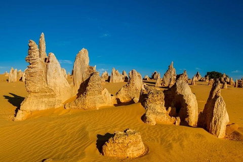 Pinnacle Desert Sunset And Stargazing With Dinner - Melbourne Tourism 3