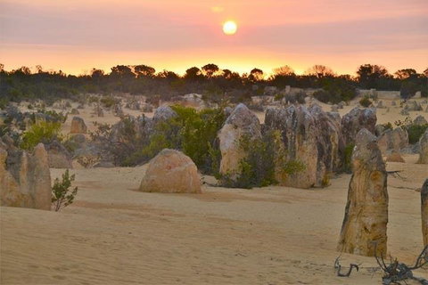 Pinnacle Desert Sunset And Stargazing With Dinner - Melbourne Tourism 5