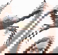 The Ultimate Gold Coast Attractions Pass - Melbourne Tourism