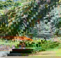 Tropical Fruit World Farm Full Tour - Melbourne Tourism