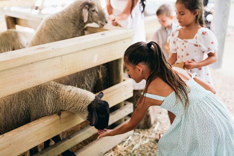 Tropical Fruit World Farm Full Tour - Melbourne Tourism 1