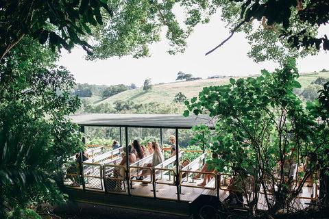 Tropical Fruit World Farm Full Tour - Melbourne Tourism 4