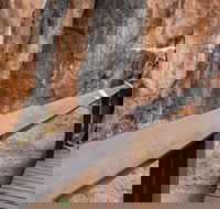 Chillagoe Caves and Outback Day Trip from Cairns - Melbourne Tourism