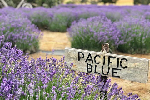 Kangaroo Island Food And Wine Trail Tour - Melbourne Tourism 0
