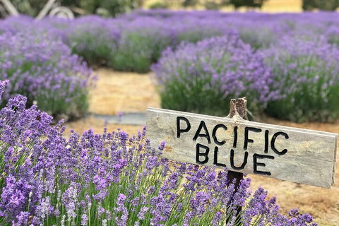 Kangaroo Island Half Day Food And Wine Trail Tour - Melbourne Tourism 5