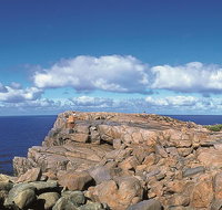 4 Day Tour Albany Margaret River Valley of the Giants TreeTop Walk from Perth - Melbourne Tourism