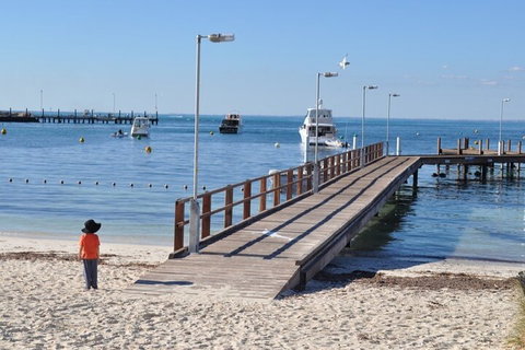 Monkey Mia Dolphins & Shark Bay Air Tour From Perth - Melbourne Tourism 0