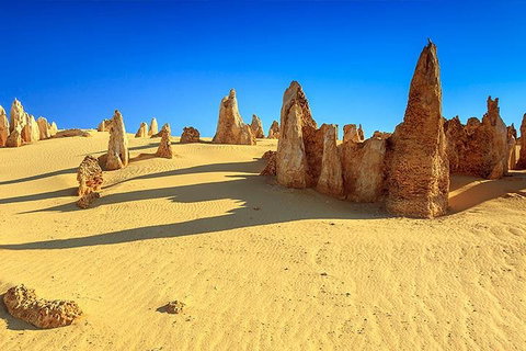 Full-Day Pinnacles Desert And Yanchep National Park Tour From Perth - Melbourne Tourism 2
