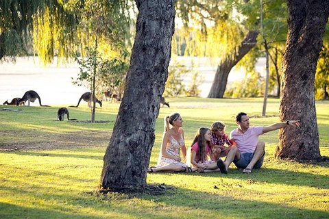 Full-Day Pinnacles Desert And Yanchep National Park Tour From Perth - Melbourne Tourism 3