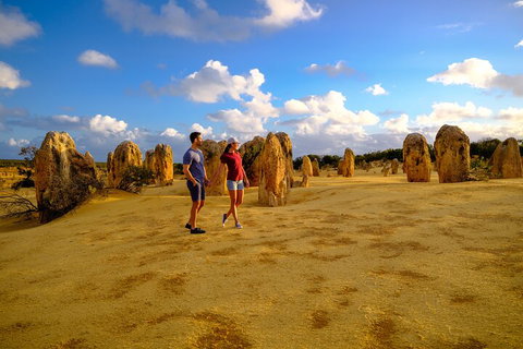 Full-Day Pinnacles Desert And Yanchep National Park Tour From Perth - Melbourne Tourism 4