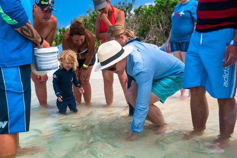 Whitehaven Beach And Hamilton Island Cruise - Melbourne Tourism 1