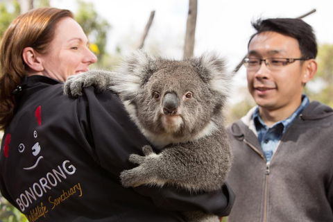 Bonorong Wildlife Park And Richmond Afternoon Tour From Hobart - Melbourne Tourism 0