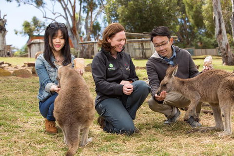 Bonorong Wildlife Park And Richmond Afternoon Tour From Hobart - Melbourne Tourism 1