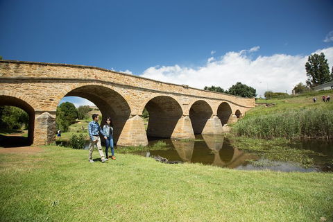 Bonorong Wildlife Park And Richmond Afternoon Tour From Hobart - Melbourne Tourism 2
