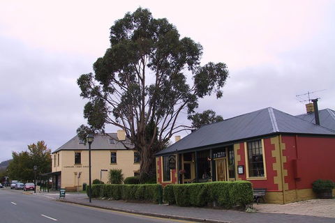 Bonorong Wildlife Park And Richmond Afternoon Tour From Hobart - Melbourne Tourism 3