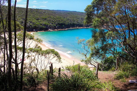South Coast Private Charter - Melbourne Tourism 1