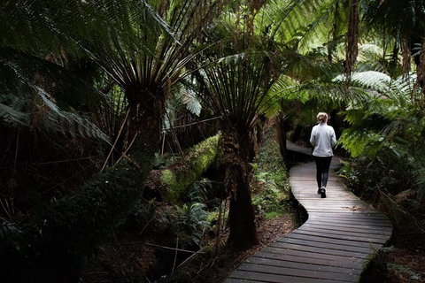 Private Tour Of Melbourne - Melbourne Tourism 2