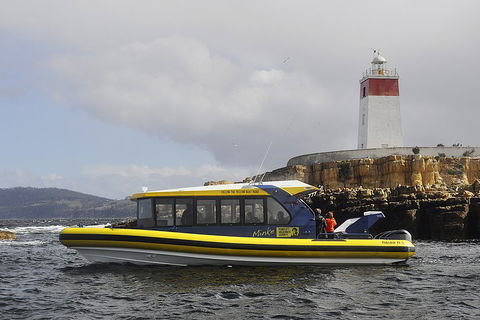 Hobart Sightseeing Cruise Including Iron Pot Lighthouse - Melbourne Tourism 0
