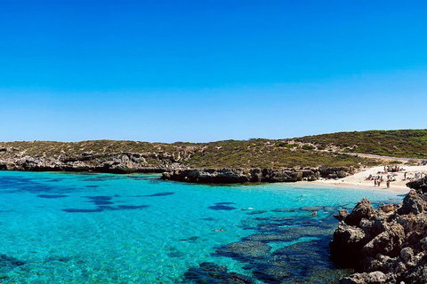 Rottnest Island Roundtrip Fast Ferry From Hillarys Boat Harbour - Melbourne Tourism 4