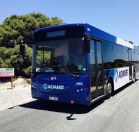 Rottnest Bayseeker Bus Tour from Hillarys Boat Harbour - Melbourne Tourism