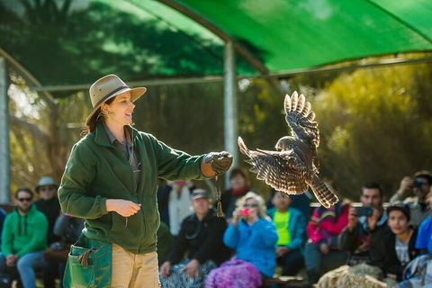 Full Day Kangaroo Island Sip And See Tour Departing From Kangaroo Island - Melbourne Tourism 1