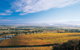 Melbourne City Tour And Half Day Yarra Valley In One Day - thumb 5