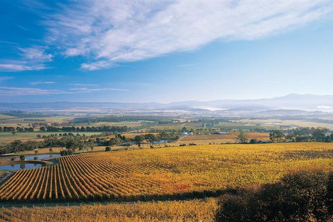 Melbourne City Tour And Half Day Yarra Valley In One Day - Melbourne Tourism 5