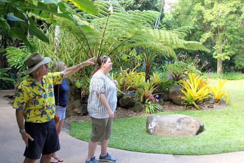 Cairns Shore Excursion: Cairns City Sights & Surrounds Tour - Melbourne Tourism 4