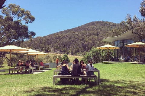 CHEVY CONVERTIBLE Package For 2 People- Wine Lunch Cheese & Chocolate From Melb. - Melbourne Tourism 5