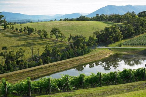 Yarra Valley Wine And Cider Tours By Classic Convertibles From Melbourne - Melbourne Tourism 1