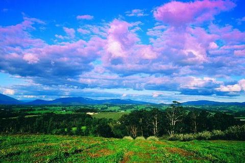 Yarra Valley Wine And Cider Tours By Classic Convertibles From Melbourne - Melbourne Tourism 3