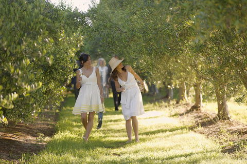 Yarra Valley Wine Tour With Local Harvest Tastings From Melbourne - Melbourne Tourism 0