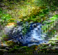 Day Tour in Mt. Field Mt. Wellington Bonorong Wildlife Sanctuary and Richmond - Melbourne Tourism