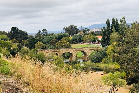 Day Tour In Mt. Field, Mt. Wellington, Bonorong Wildlife Sanctuary And Richmond - Melbourne Tourism 3