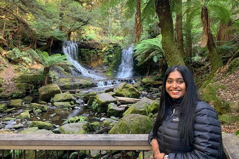 Day Tour In Mt. Field, Mt. Wellington, Bonorong Wildlife Sanctuary And Richmond - Melbourne Tourism 5