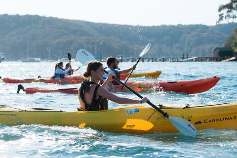 Pittwater Discovery Kayaking Tour - Melbourne Tourism 2