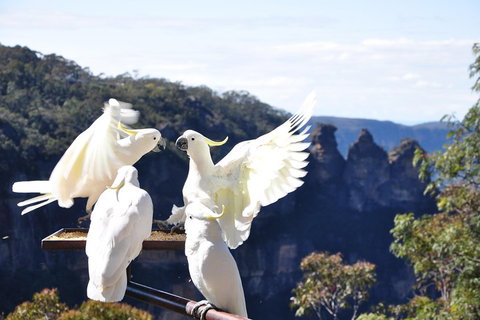 Private Blue Mountains Tour - Melbourne Tourism 1